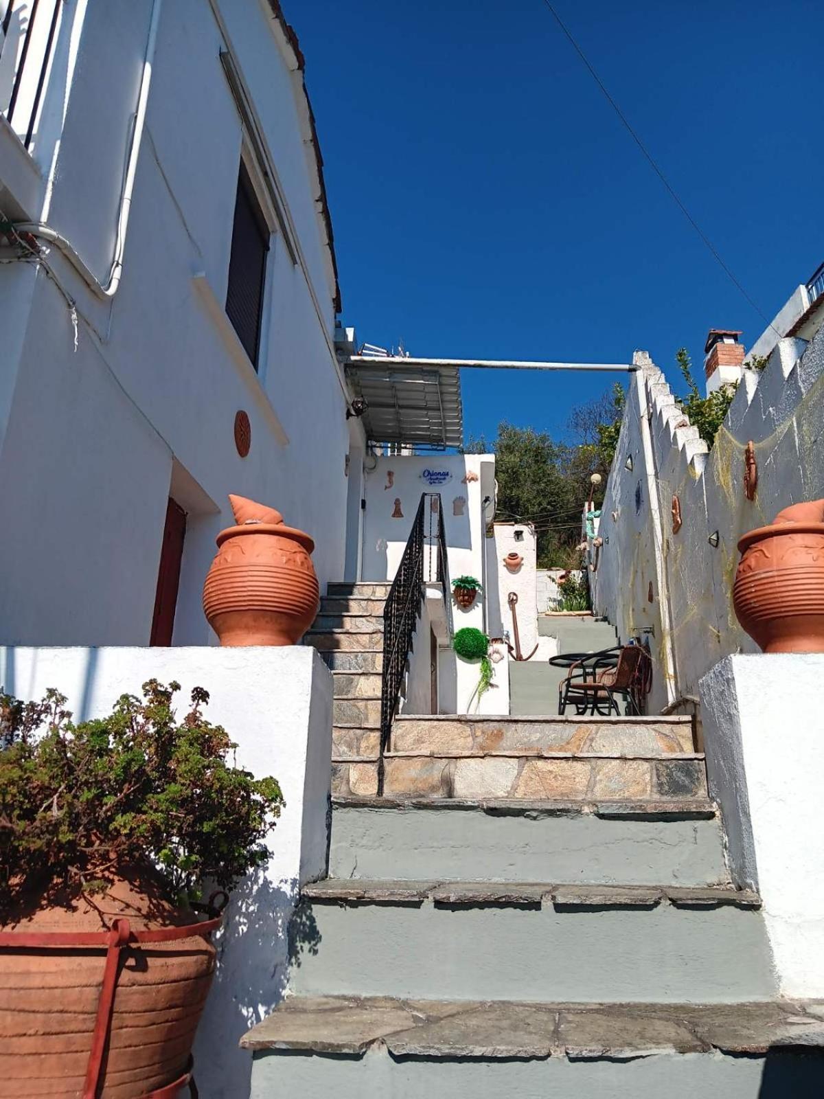 Chiona΄S Apartments By The Sea Paleo Trikeri エクステリア 写真